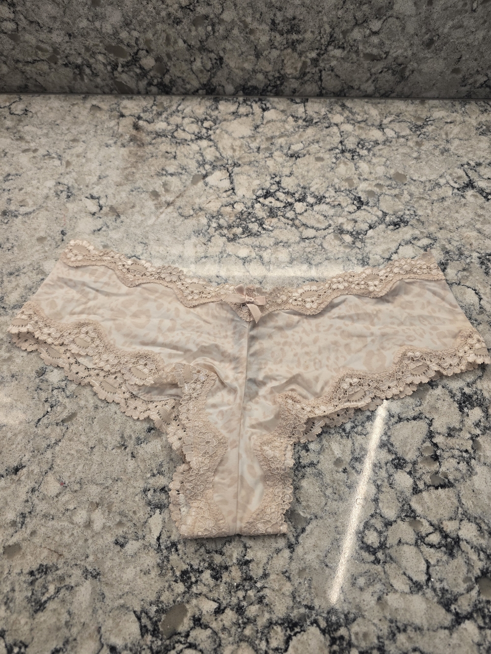 Victoria's Secret Lace-Trim Hipster Panty in Nude Blush